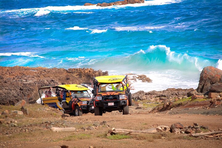 Terrängjeepsafari som utforskar Arubas naturliga pool, Baby Beach och robusta kustlinje, foto 3 | wizardtrip