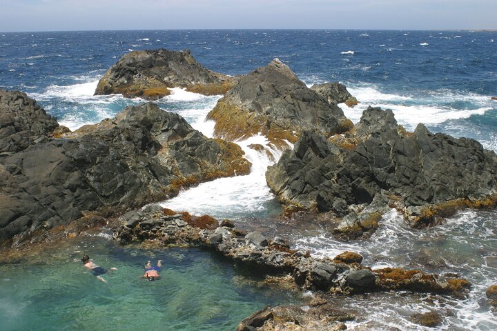Terrängjeepsafari som utforskar Arubas naturliga pool, Baby Beach och robusta kustlinje, foto 13 | wizardtrip