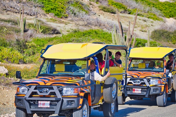 Terrängjeepsafari som utforskar Arubas naturliga pool, Baby Beach och robusta kustlinje, foto 14 | wizardtrip