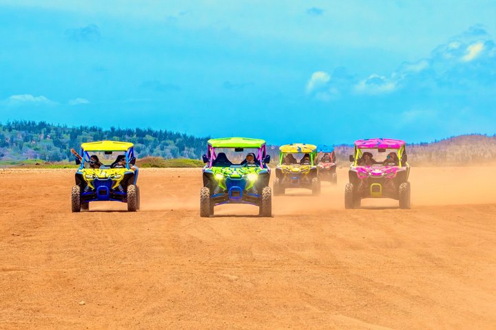 Off-road UTV-eventyr, der udforsker Arubas barske nordkyst, besøger strande og historiske steder, foto 3 | wizardtrip