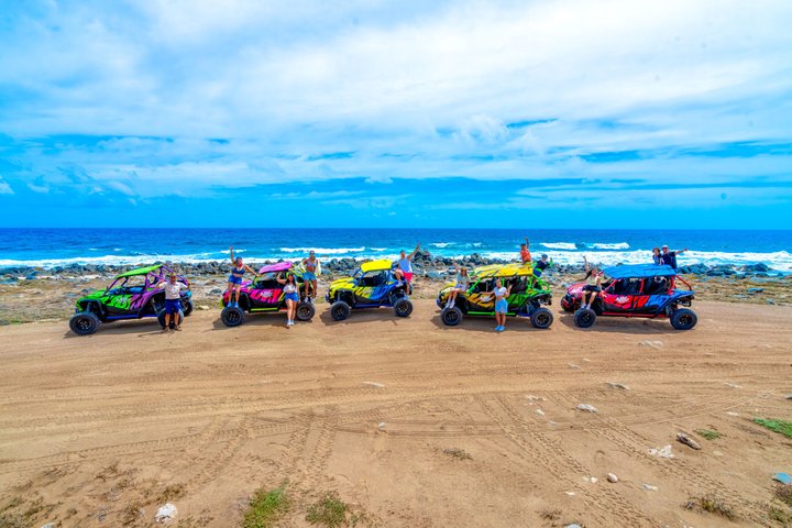 Off-road UTV-eventyr, der udforsker Arubas barske nordkyst, besøger strande og historiske steder, foto 12 | wizardtrip