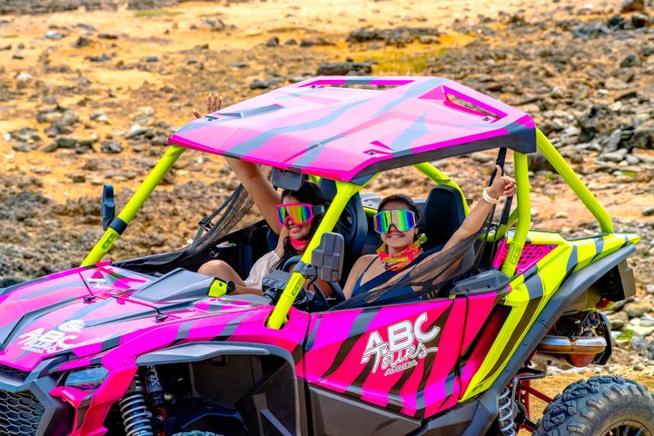 Off-road UTV-eventyr, der udforsker Arubas barske nordkyst, besøger strande og historiske steder, foto 13 | wizardtrip