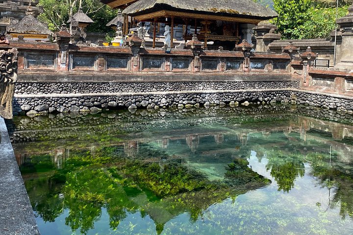 Privétour door Ubud's Apenbos, Tegalalang Rijstterrassen, Tirta Empul Tempel en Tegenungan Waterval op Bali, foto 8 | wizardtrip