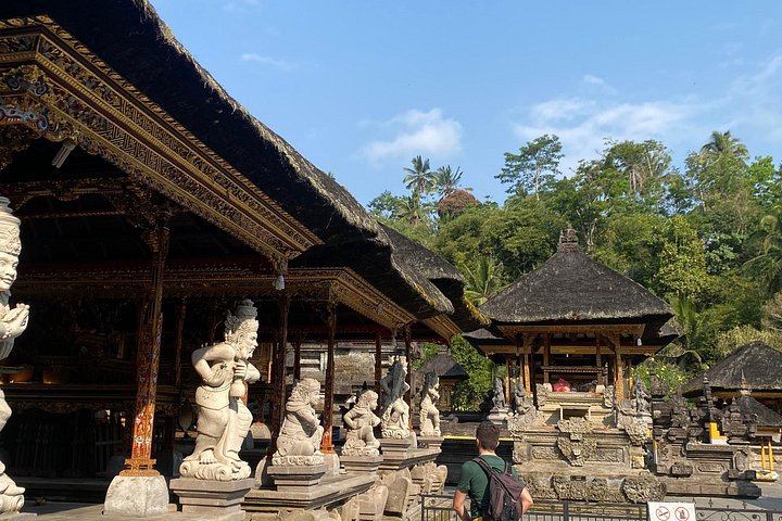 Privétour door Ubud's Apenbos, Tegalalang Rijstterrassen, Tirta Empul Tempel en Tegenungan Waterval op Bali, foto 9 | wizardtrip
