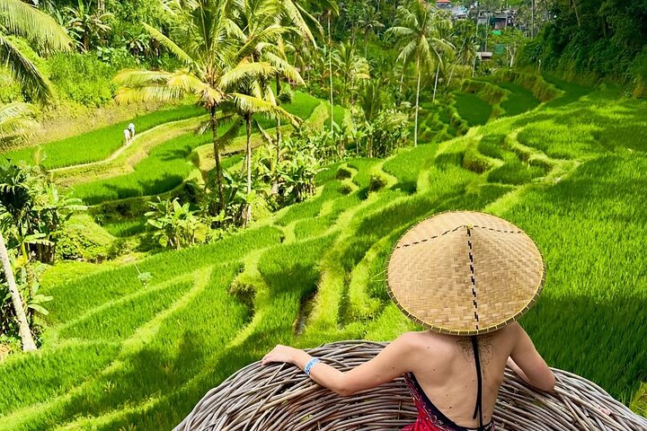 Privétour door Ubud's Apenbos, Tegalalang Rijstterrassen, Tirta Empul Tempel en Tegenungan Waterval op Bali, foto 11 | wizardtrip