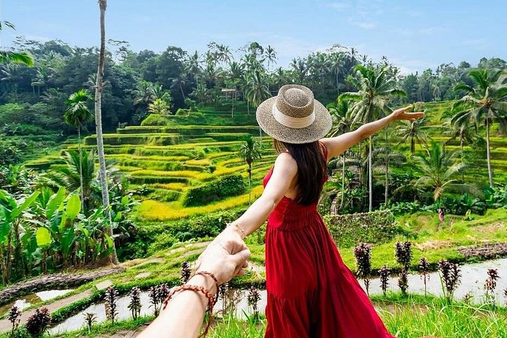 Privétour door Ubud's Apenbos, Tegalalang Rijstterrassen, Tirta Empul Tempel en Tegenungan Waterval op Bali, foto 16 | wizardtrip