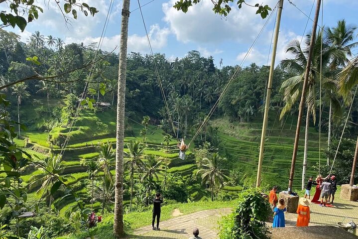 Privétour door Ubud's Apenbos, Tegalalang Rijstterrassen, Tirta Empul Tempel en Tegenungan Waterval op Bali, foto 17 | wizardtrip