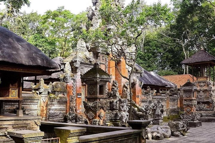 Privétour door Ubud's Apenbos, Tegalalang Rijstterrassen, Tirta Empul Tempel en Tegenungan Waterval op Bali, foto 19 | wizardtrip