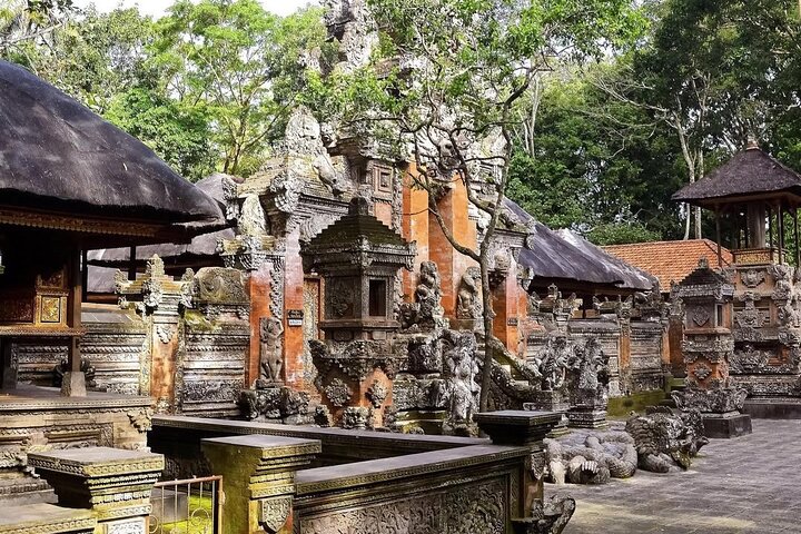 Privétour door Ubud's Apenbos, Tegalalang Rijstterrassen, Tirta Empul Tempel en Tegenungan Waterval op Bali, foto 24 | wizardtrip