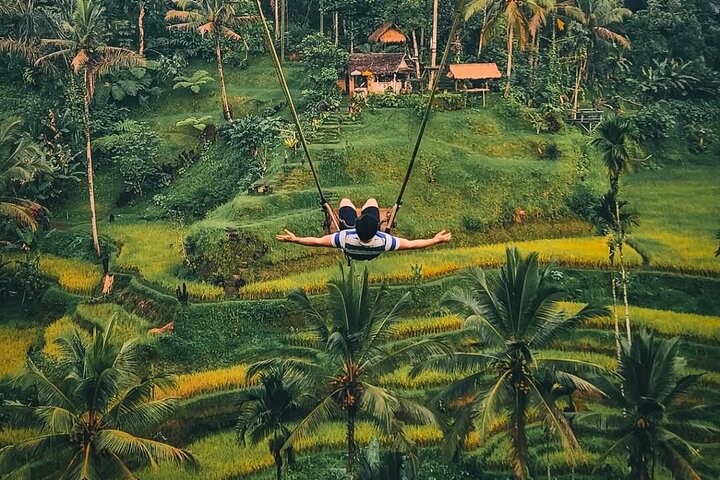 Privétour door Ubud's Apenbos, Tegalalang Rijstterrassen, Tirta Empul Tempel en Tegenungan Waterval op Bali, foto 25 | wizardtrip