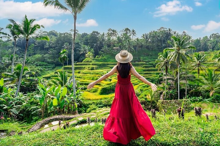 Privétour door Ubud's Apenbos, Tegalalang Rijstterrassen, Tirta Empul Tempel en Tegenungan Waterval op Bali, foto 26 | wizardtrip