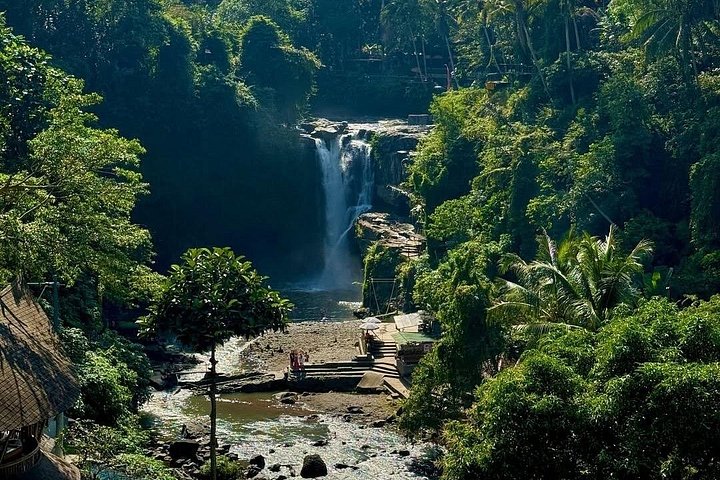Privétour door Ubud's Apenbos, Tegalalang Rijstterrassen, Tirta Empul Tempel en Tegenungan Waterval op Bali, foto 30 | wizardtrip