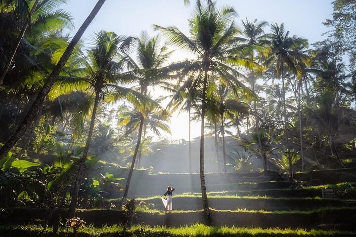 Privétour door Ubud's Apenbos, Tegalalang Rijstterrassen, Tirta Empul Tempel en Tegenungan Waterval op Bali, foto 37 | wizardtrip
