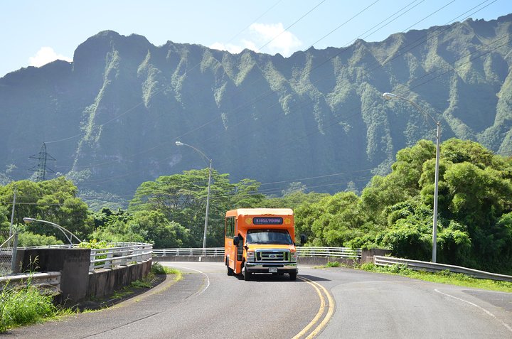 Oahu Circle Island Tour med Waimea Falls, Byodo-In Temple og Dole Plantation, foto 6 | wizardtrip