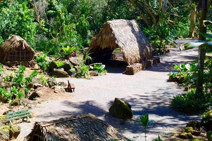 Oahu Circle Island Tour med Waimea Falls, Byodo-In Temple og Dole Plantation, foto 7 | wizardtrip