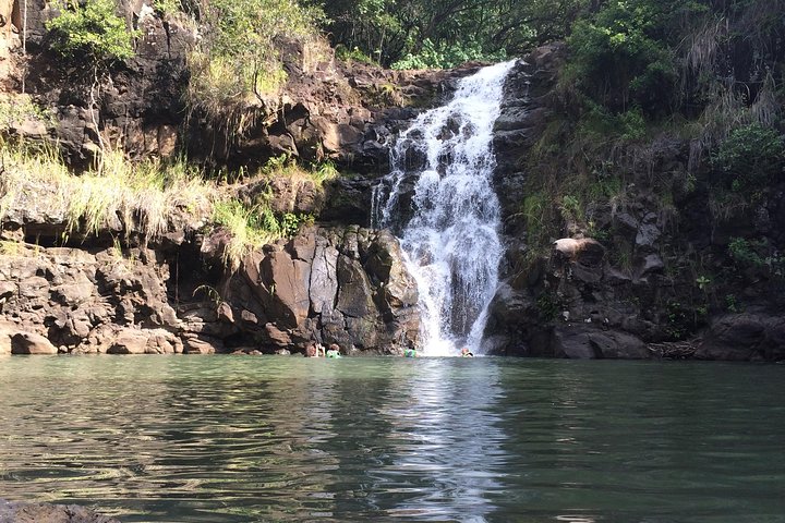 Oahu Circle Island Tour med Waimea Falls, Byodo-In Temple og Dole Plantation, foto 8 | wizardtrip