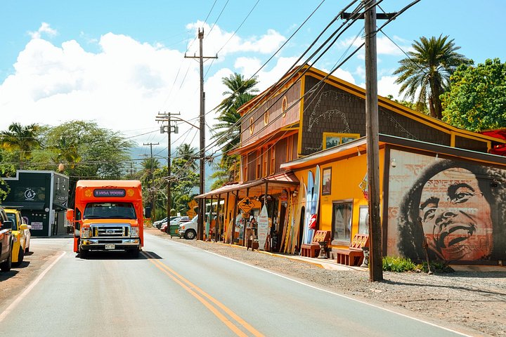 Oahu Circle Island Tour med Waimea Falls, Byodo-In Temple og Dole Plantation, foto 15 | wizardtrip
