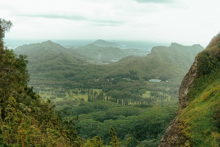 Oahu Circle Island Tour med Waimea Falls, Byodo-In Temple og Dole Plantation, foto 16 | wizardtrip