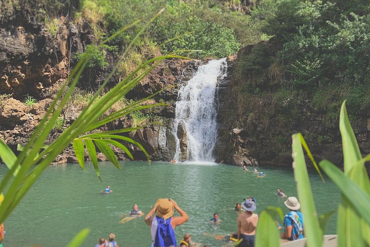 Oahu Circle Island Tour med Waimea Falls, Byodo-In Temple og Dole Plantation, foto 17 | wizardtrip