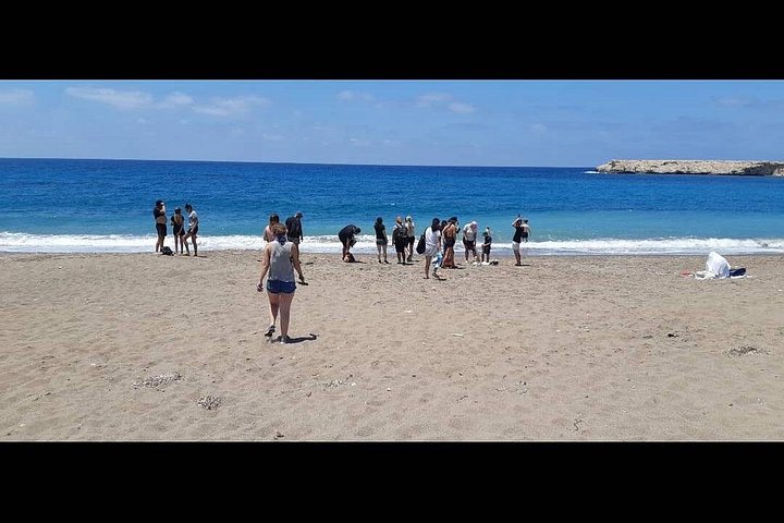Vivez une excursion passionnante en quad ou en buggy à Paphos, Chypre, en visitant Lara Bay et les chutes d'Adonis, photo 14 | wizardtrip