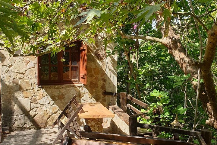 Vivez une excursion passionnante en quad ou en buggy à Paphos, Chypre, en visitant Lara Bay et les chutes d'Adonis, photo 34 | wizardtrip