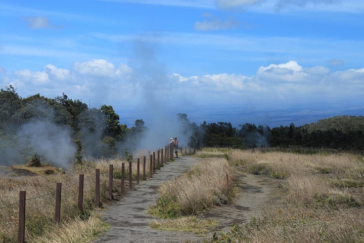 Erkunden Sie Hawaiis aktiven Vulkan, Lavaröhren, Wasserfälle und Gärten auf einer geführten Tour von Hilo, Foto 8 | wizardtrip