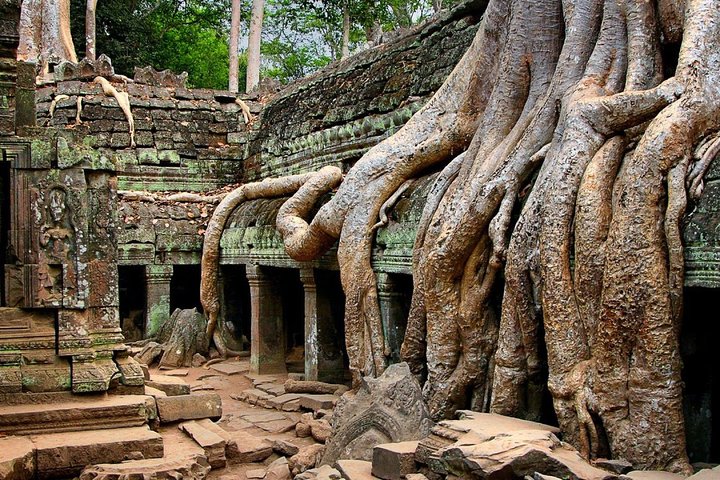 Soloppgang over det praktfulle Angkor Wat tempelkompleks i Siem Reap, Kambodsja, foto 12 | wizardtrip