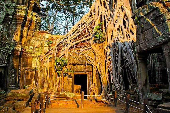 Soloppgang over det praktfulle Angkor Wat tempelkompleks i Siem Reap, Kambodsja, foto 19 | wizardtrip