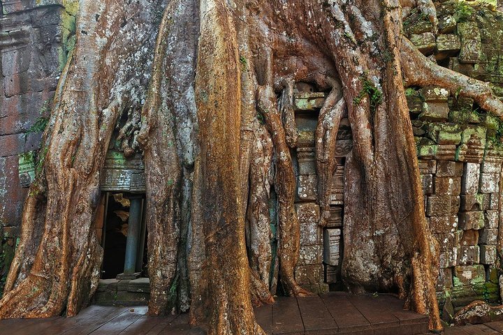 Verken de oude tempels van Angkor Wat, Cambodja, inclusief zonsopgang en iconische bouwwerken, foto 8 | wizardtrip