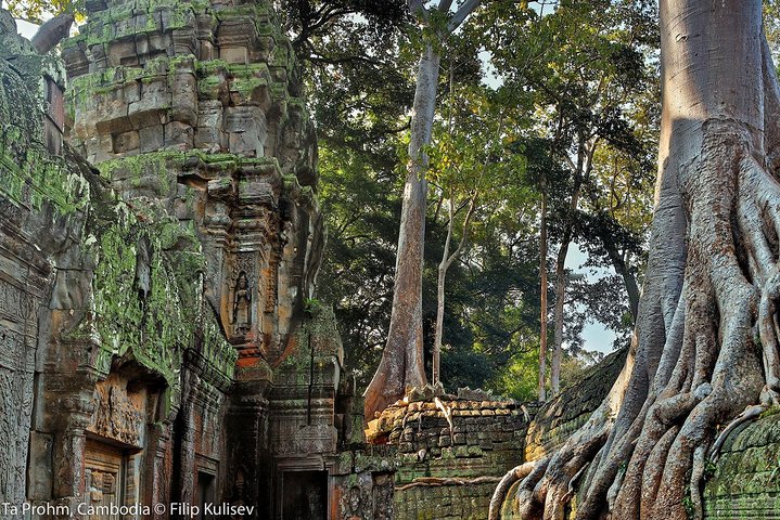 Verken de oude tempels van Angkor Wat, Cambodja, inclusief zonsopgang en iconische bouwwerken, foto 10 | wizardtrip