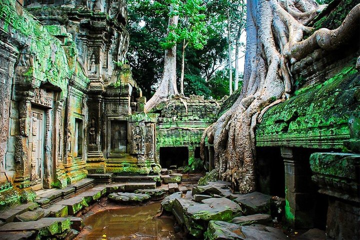 Verken de oude tempels van Angkor Wat, Cambodja, inclusief zonsopgang en iconische bouwwerken, foto 19 | wizardtrip