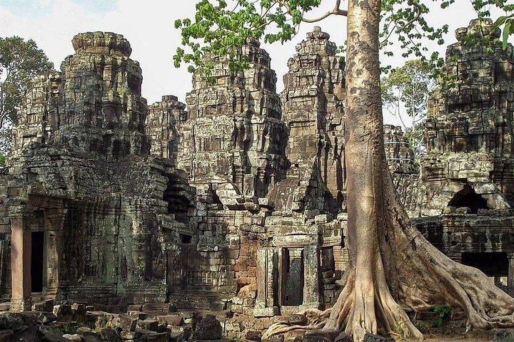 シェムリアップ、カンボジアのアンコールワット寺院群の終日ガイドツアー。日の入り鑑賞も含まれます、写真14 | wizardtrip