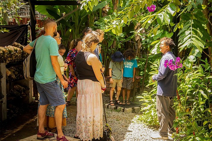 Lernen Sie, authentische Khmer-Gerichte in Siem Reap zu kochen, einschließlich einer Markttour und eines Besuchs bei Einheimischen, Foto 18 | wizardtrip
