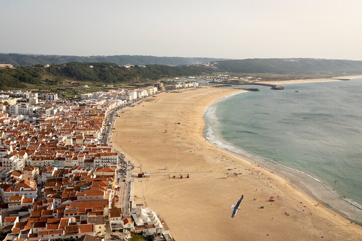 Heldags guidet tur fra Lissabon til Porto, Nazaré og Óbidos, der viser Portugals kulturarv, foto 15 | wizardtrip