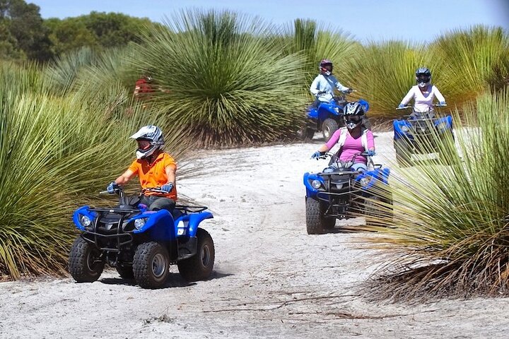 Quadbike-Abenteuer auf Kangaroo Island, Australien, Erkundung verschiedener Terrains und Tierwelt, Foto 6 | wizardtrip