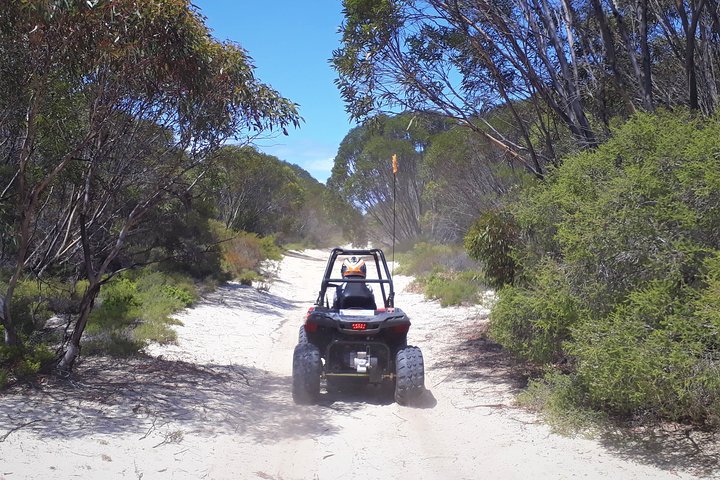 Quadbike-Abenteuer auf Kangaroo Island, Australien, Erkundung verschiedener Terrains und Tierwelt, Foto 10 | wizardtrip
