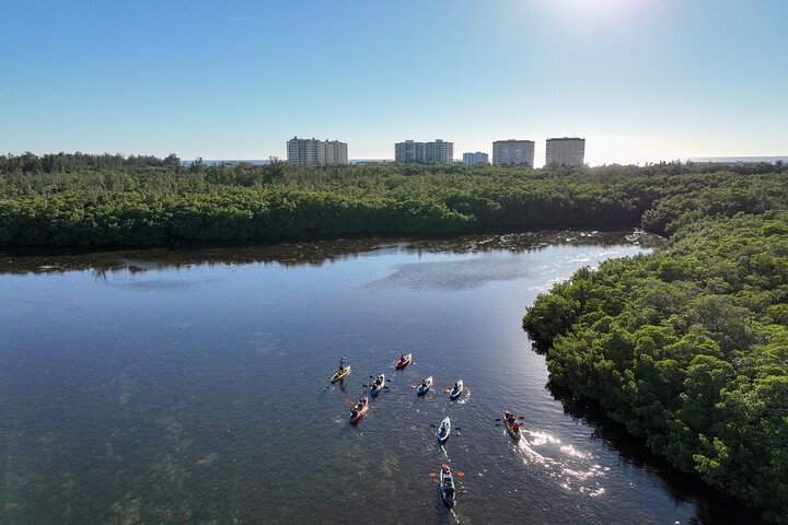 Guidet kajaktur gennem Sarasotas mangrovetunneler og bugt, hvor man spotter dyreliv, foto 7 | wizardtrip