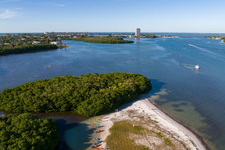 Guidet kajaktur gennem Sarasotas mangrovetunneler og bugt, hvor man spotter dyreliv, foto 15 | wizardtrip