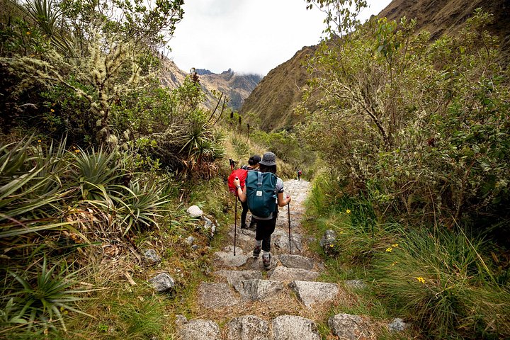 Trek de oude Inca Trail door adembenemende Andes-landschappen naar de prachtige citadel van Machu Picchu, foto 9 | wizardtrip