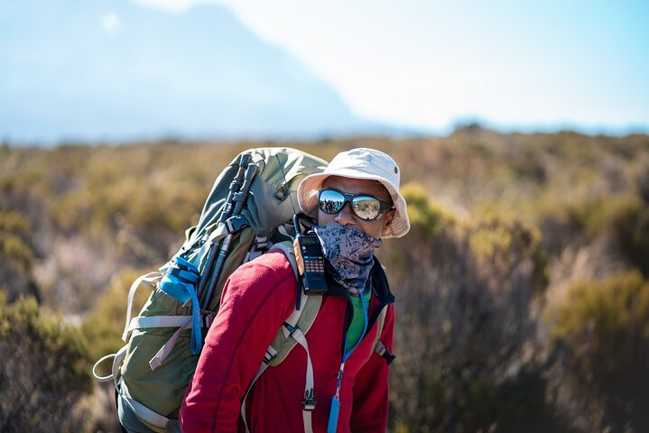 Trek vers le sommet du mont Kilimandjaro par la pittoresque voie Lemosho en Tanzanie, photo 9 | wizardtrip