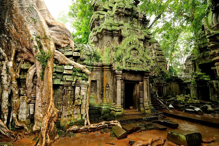 Radtour durch die antiken Angkor-Tempel und die üppige kambodschanische Landschaft bei Siem Reap, Foto 14 | wizardtrip