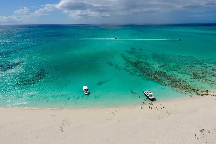 Excursão de snorkel em Grace Bay, Providenciales, com exploração de recifes, visita à Ilha das Iguanas e atividades aquáticas, foto 7 | wizardtrip