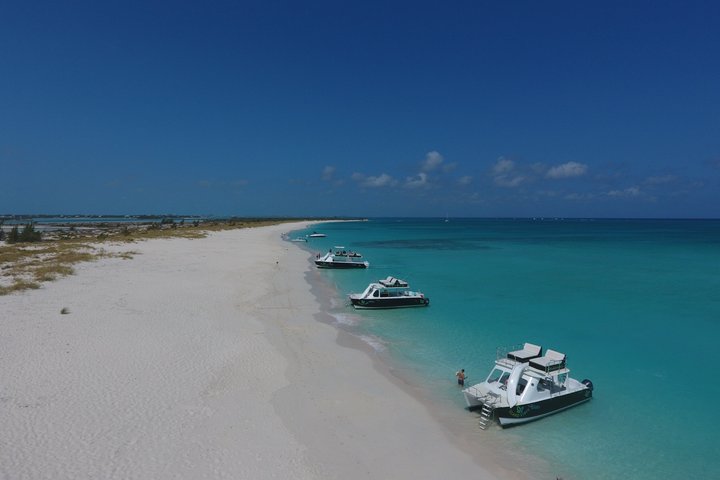 Excursão de snorkel em Grace Bay, Providenciales, com exploração de recifes, visita à Ilha das Iguanas e atividades aquáticas, foto 8 | wizardtrip