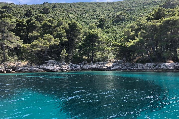 Privat båttur som utforskar Elafitiöarna nära Dubrovnik, Kroatien, med bad och ö-hoppning, foto 20 | wizardtrip
