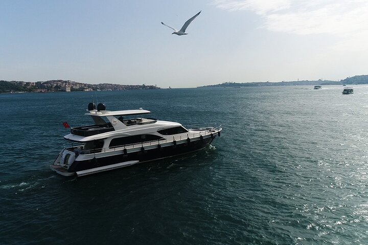 Luxury yacht cruise on Istanbul's Bosphorus, offering views of palaces and bridges, photo 15 | wizardtrip