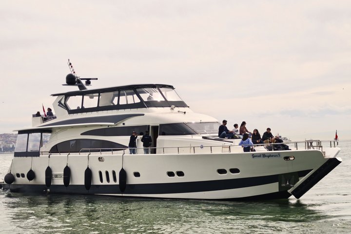 Luxury yacht cruise on Istanbul's Bosphorus, offering views of palaces and bridges, photo 39 | wizardtrip