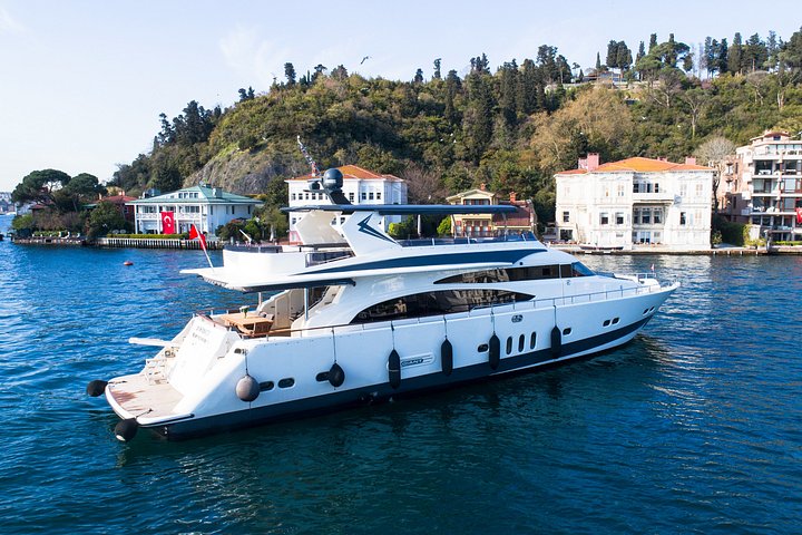 Luxury yacht cruise on Istanbul's Bosphorus, offering views of palaces and bridges, photo 42 | wizardtrip