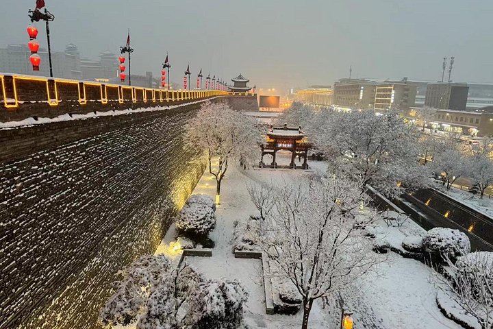 Passeio privado explorando o Exército de Terracota e locais históricos em Xian, China, foto 16 | wizardtrip