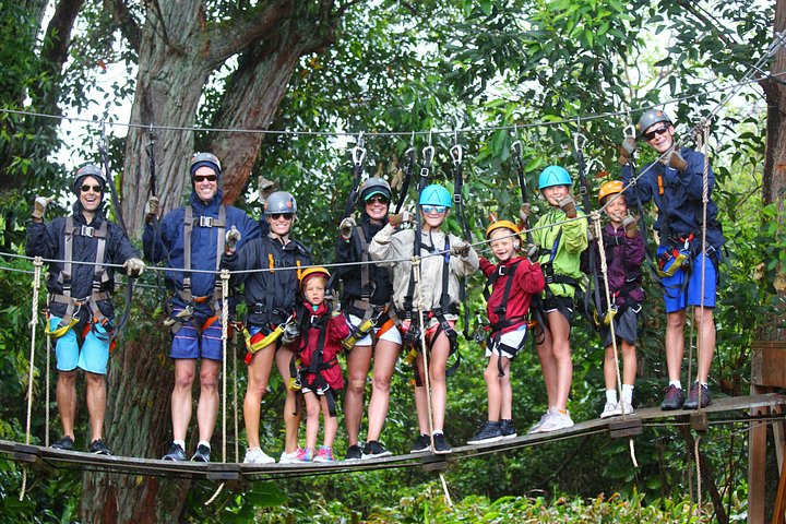 Aventureiros em tirolesa pela exuberante floresta de Maui com vista para o mar, foto 11 | wizardtrip