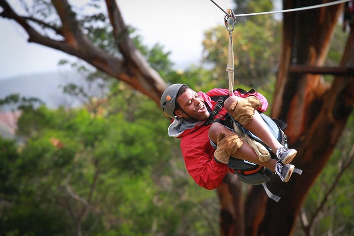 Aventureiros em tirolesa pela exuberante floresta de Maui com vista para o mar, foto 12 | wizardtrip